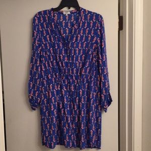 crown and ivy top/dress